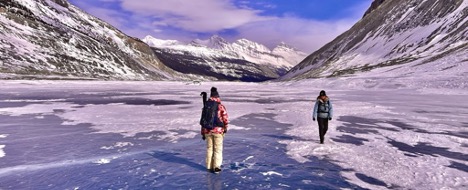 Embracing Calgary's Vibrant Cultural Scene and Outdoor Adventures
